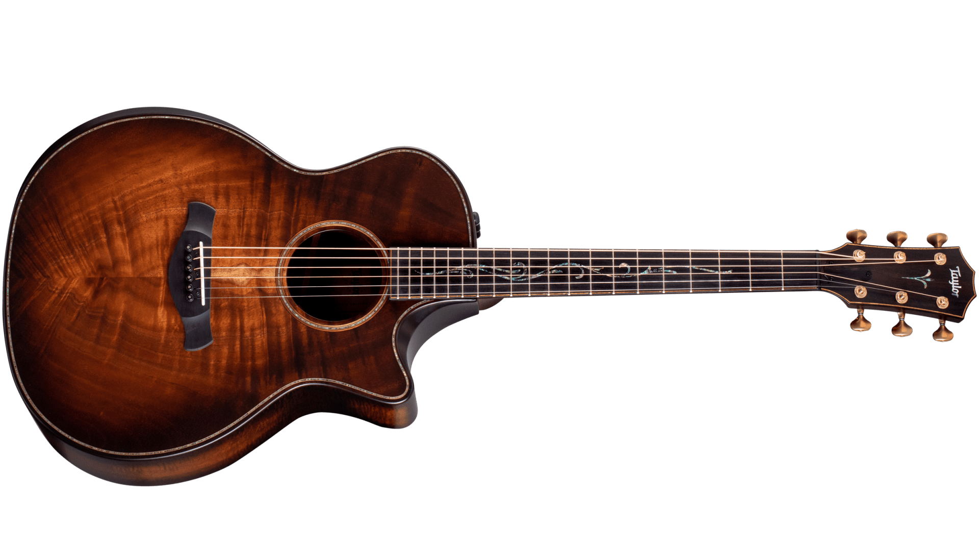 Taylor guitars shop for sale